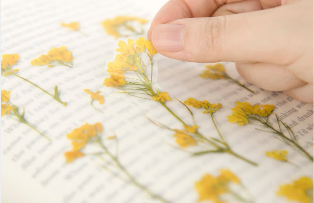 Appree Pressed Stickers- 020 Rapeseed Flower - Smidapaper Ikigai Shop