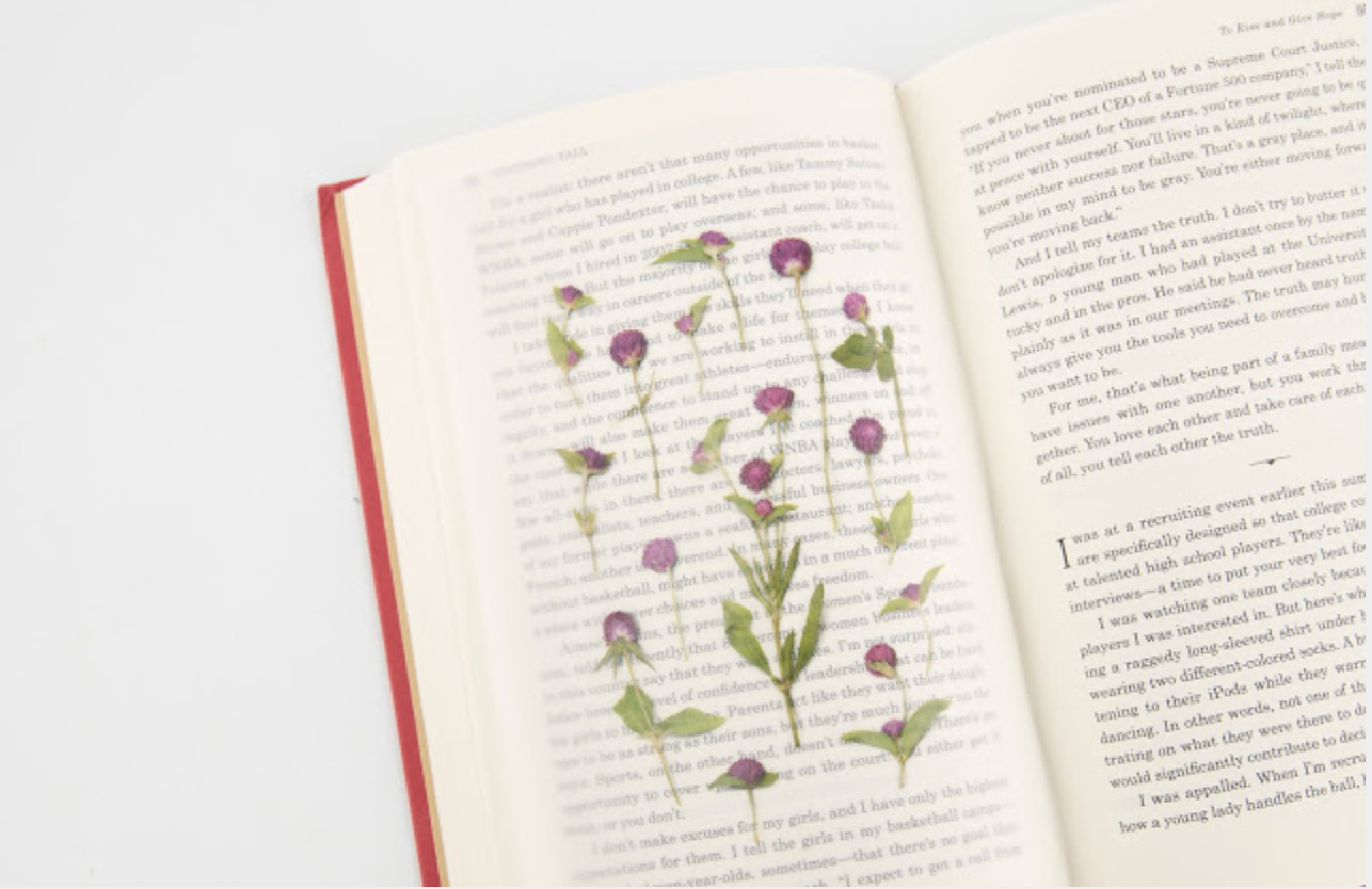 Appree Pressed Stickers- 019 Globe Amaranth - Smidapaper Ikigai Shop
