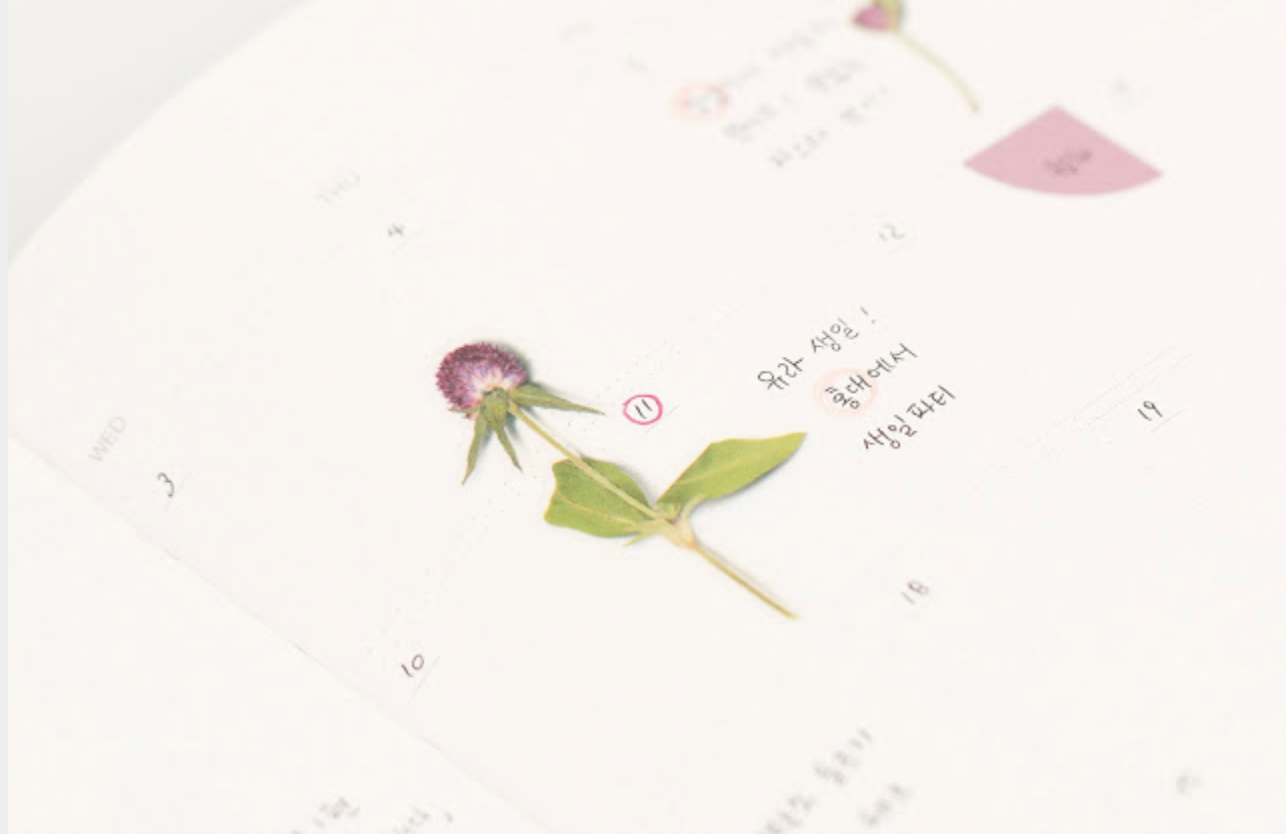 Appree Pressed Stickers- 019 Globe Amaranth - Smidapaper Ikigai Shop