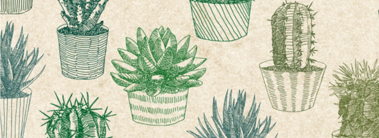 MT Washi Tape - Cactus MTEX1P136 - Smidapaper Ikigai Shop