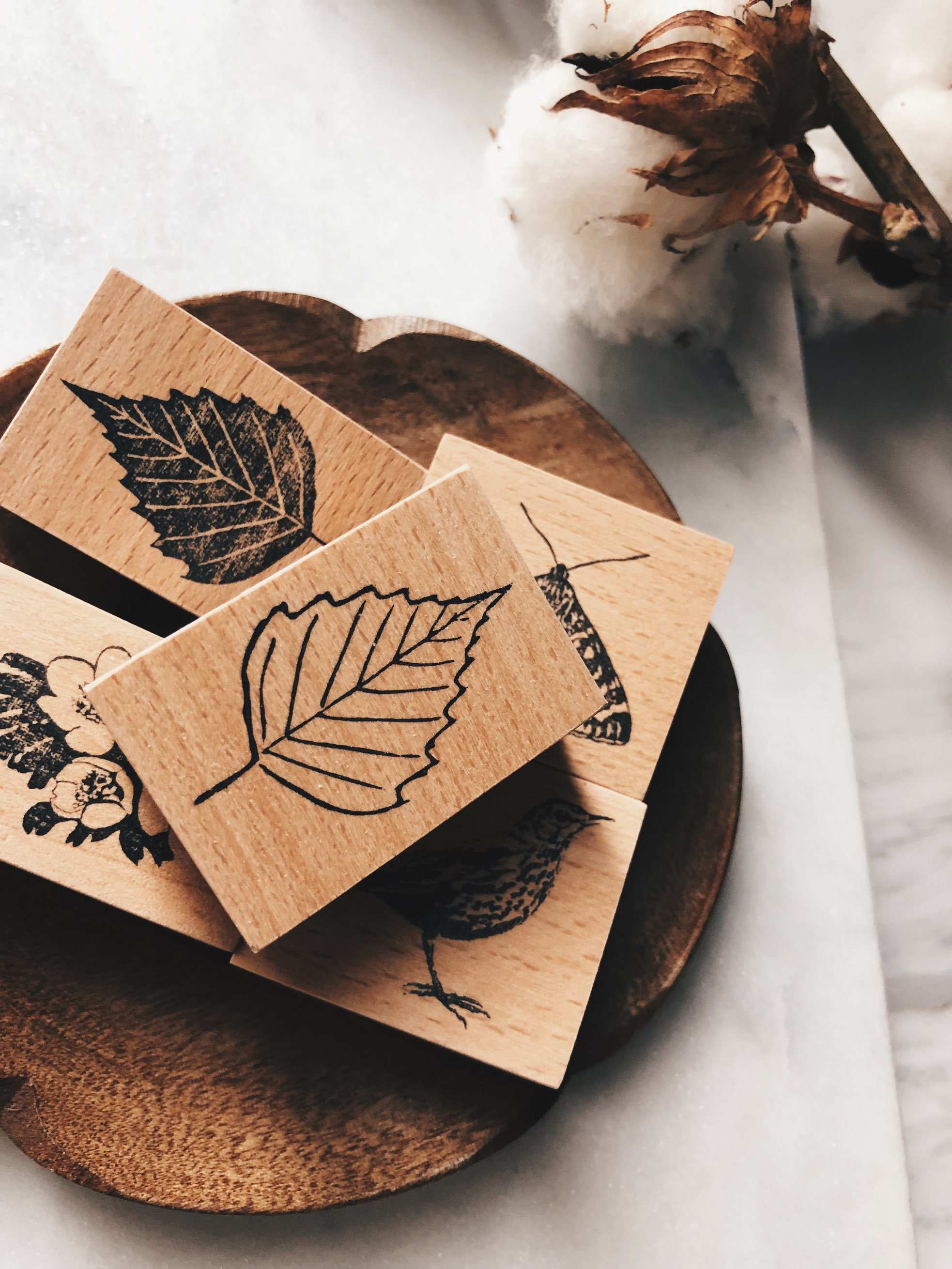Stempel Jazz Rubber Stamp - Birch Leaf Contour - Smidapaper Ikigai Shop