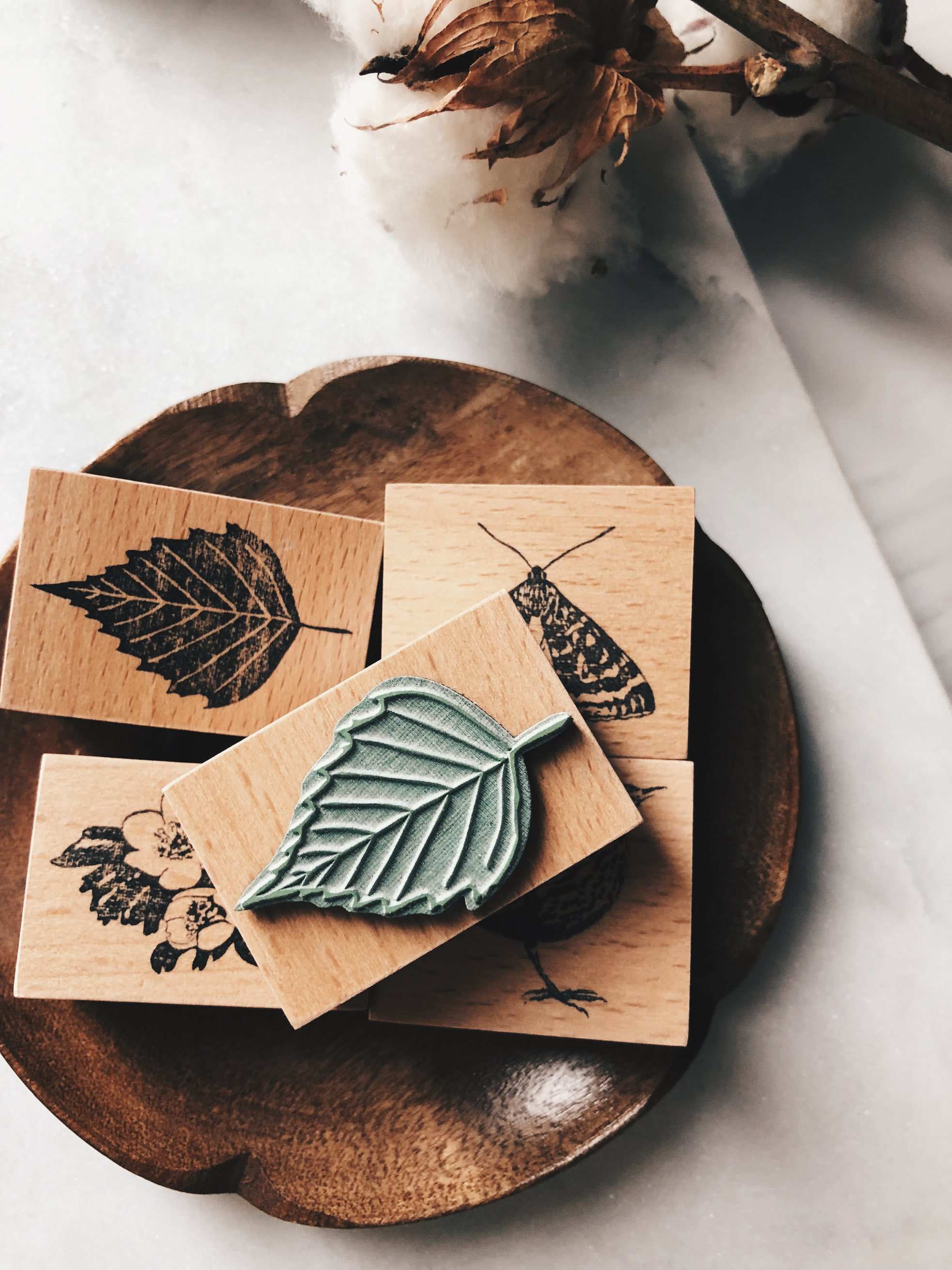 Stempel Jazz Rubber Stamp - Birch Leaf Contour - Smidapaper Ikigai Shop