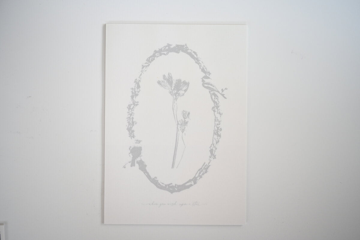 Tutty Design A6 Memo Paper: Astlantia - Smidapaper Ikigai Shop