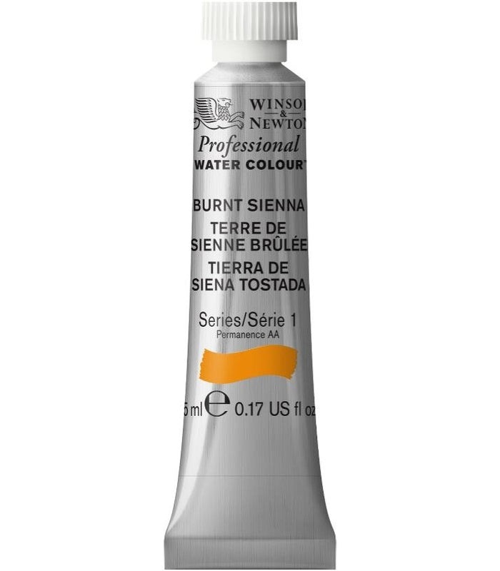 Winsor & Newton Professional Water Colour 5ml Series 1 - Smidapaper Ikigai Shop
