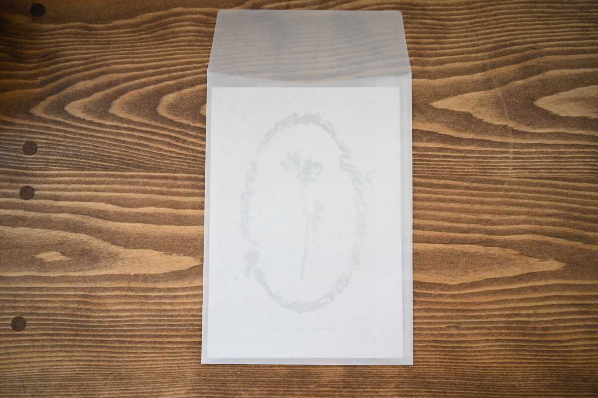 Tutty Design A6 Memo Paper: Astlantia - Smidapaper Ikigai Shop