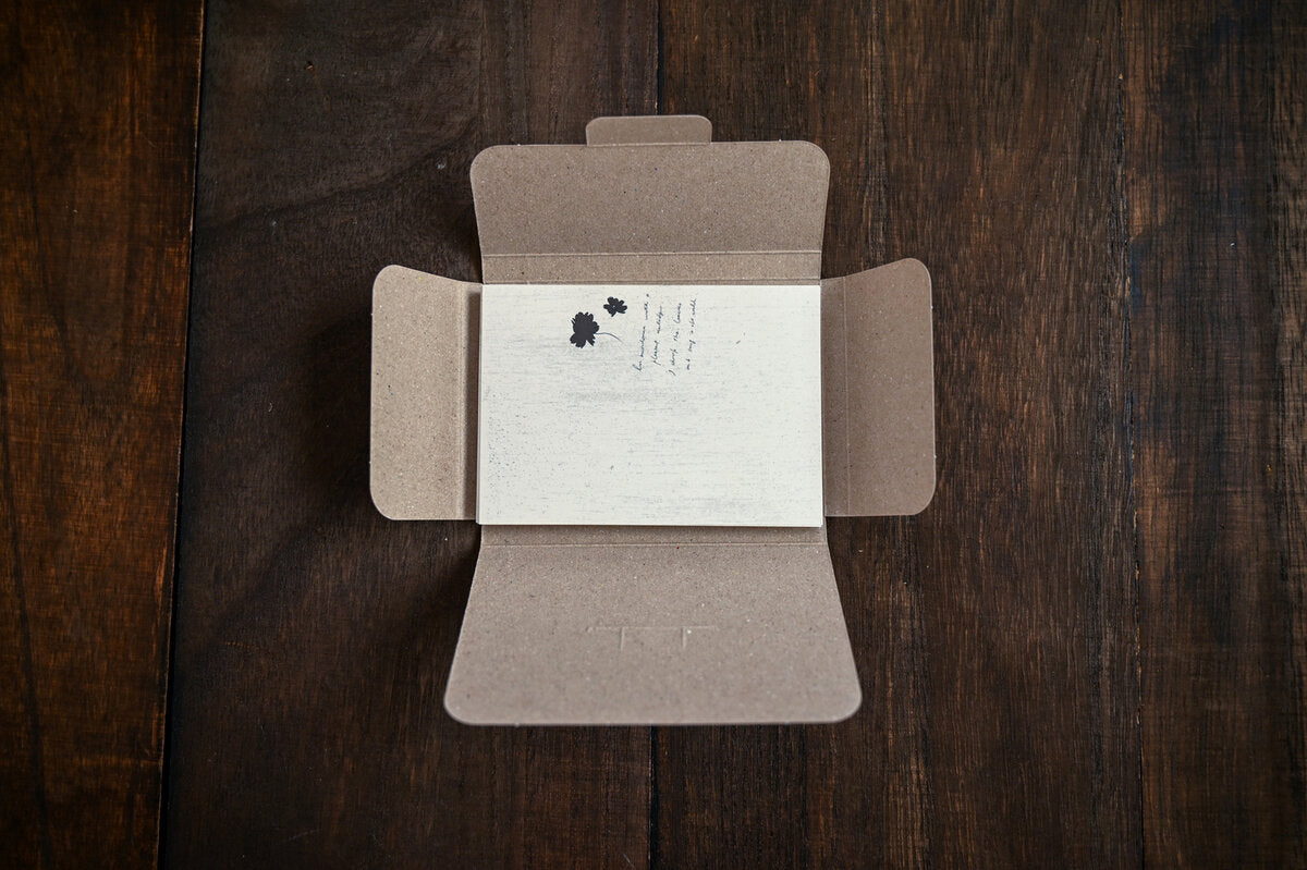 Tutty Design A7 Memo Paper: Chocolate Cosmos - Smidapaper Ikigai Shop