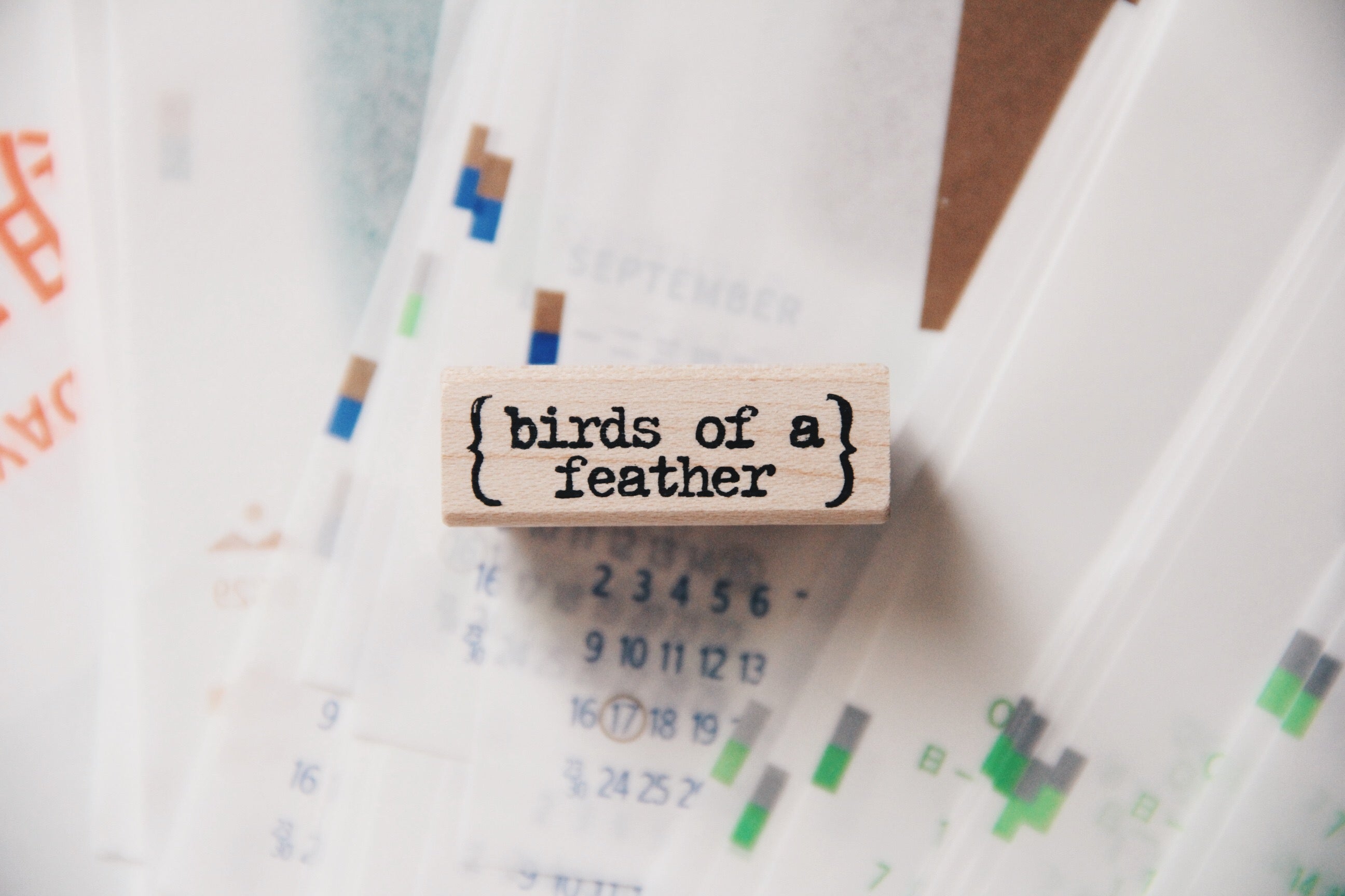 Catslife Press Birds of a Feather Rubber Stamp - Smidapaper Ikigai Shop
