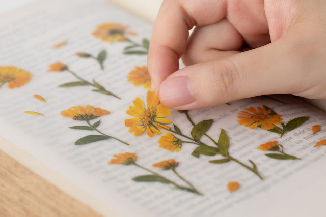 Appree Pressed Stickers- 014 Calendula - Smidapaper Ikigai Shop