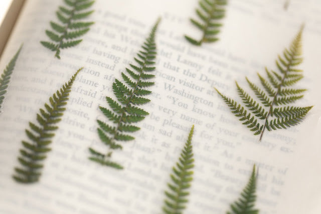 Appree Pressed Stickers- 003 Bracken - Smidapaper Ikigai Shop