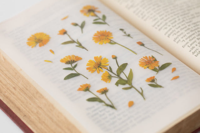Appree Pressed Stickers- 014 Calendula - Smidapaper Ikigai Shop