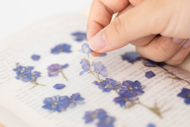Appree Pressed Stickers- 012 Larkspur - Smidapaper Ikigai Shop
