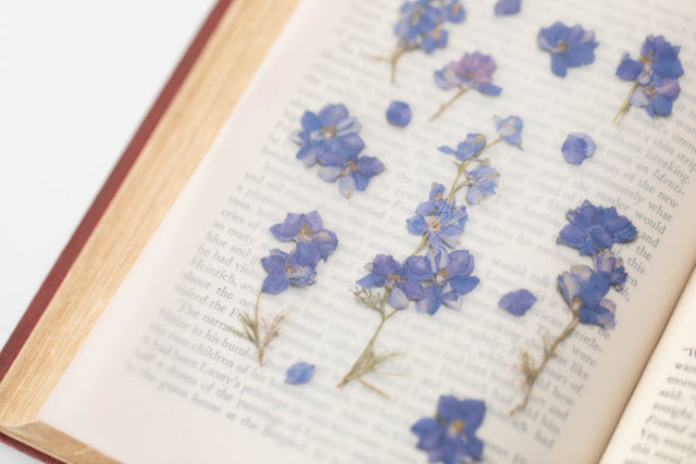 Appree Pressed Stickers- 012 Larkspur - Smidapaper Ikigai Shop