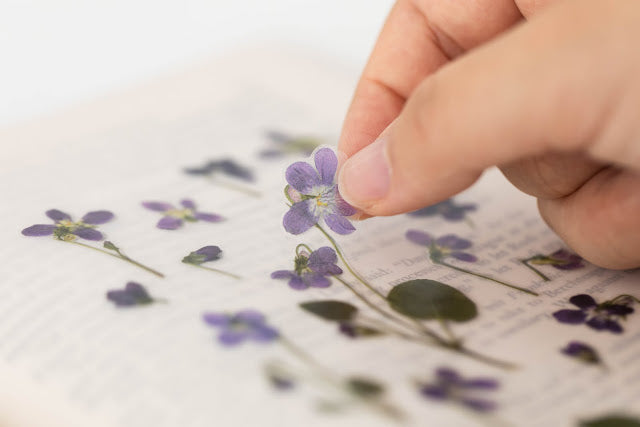 Appree Pressed Stickers- 011 Manchurian Violet - Smidapaper Ikigai Shop