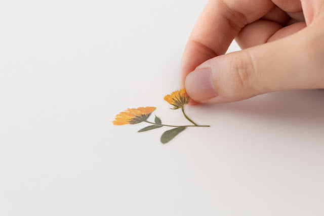 Appree Pressed Stickers- 014 Calendula - Smidapaper Ikigai Shop