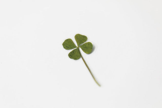 Appree Pressed Stickers- 006 Four Leaf Clover - Smidapaper Ikigai Shop