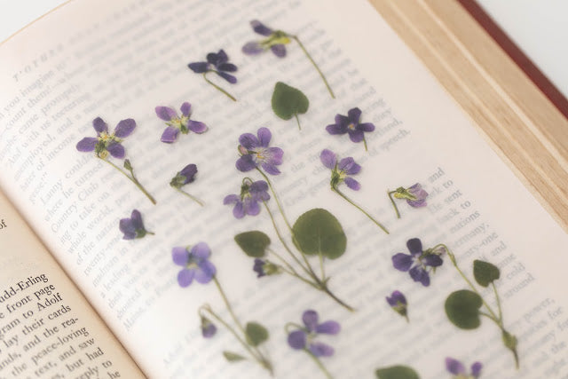Appree Pressed Stickers- 011 Manchurian Violet - Smidapaper Ikigai Shop