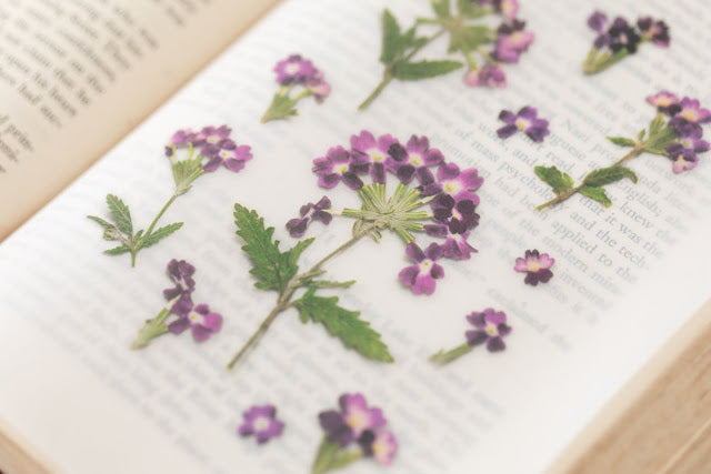 Appree Pressed Stickers- 017 Verbena - Smidapaper Ikigai Shop