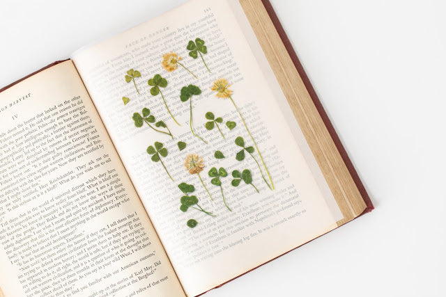 Appree Pressed Stickers- 006 Four Leaf Clover - Smidapaper Ikigai Shop