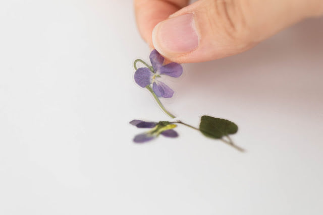 Appree Pressed Stickers- 011 Manchurian Violet - Smidapaper Ikigai Shop