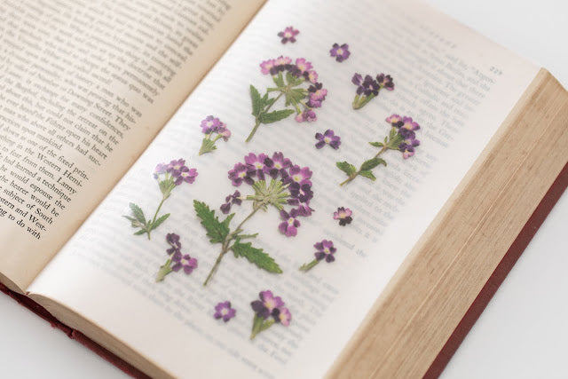 Appree Pressed Stickers- 017 Verbena - Smidapaper Ikigai Shop