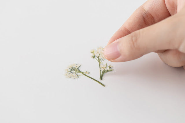 Appree Pressed Stickers- 016 Sweet Alyssum - Smidapaper Ikigai Shop