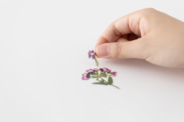 Appree Pressed Stickers- 017 Verbena - Smidapaper Ikigai Shop