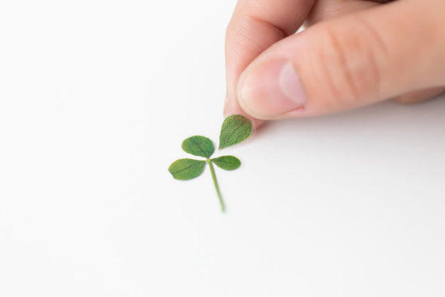 Appree Pressed Stickers- 006 Four Leaf Clover - Smidapaper Ikigai Shop