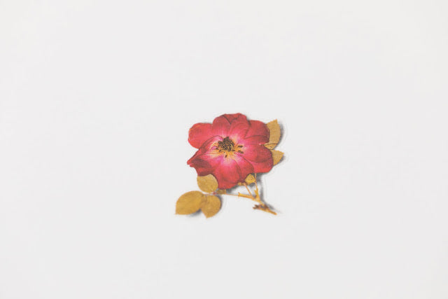 Appree Pressed Stickers- 015 Mini Rose - Smidapaper Ikigai Shop