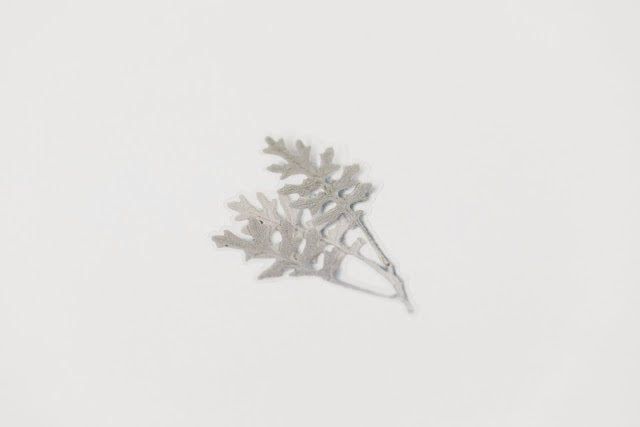 Appree Pressed Stickers- 018 Dusty Miller - Smidapaper Ikigai Shop