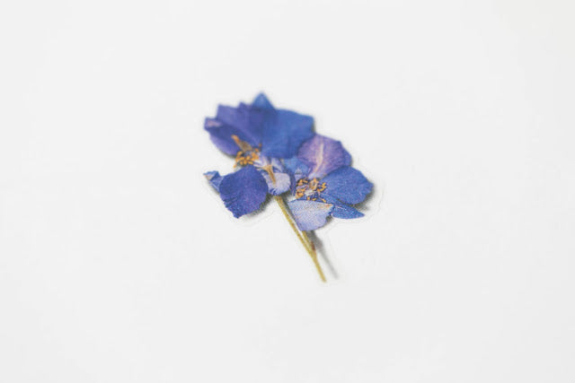 Appree Pressed Stickers- 012 Larkspur - Smidapaper Ikigai Shop