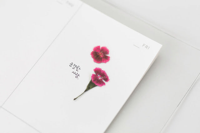 Appree Pressed Stickers- 013 China Pink - Smidapaper Ikigai Shop