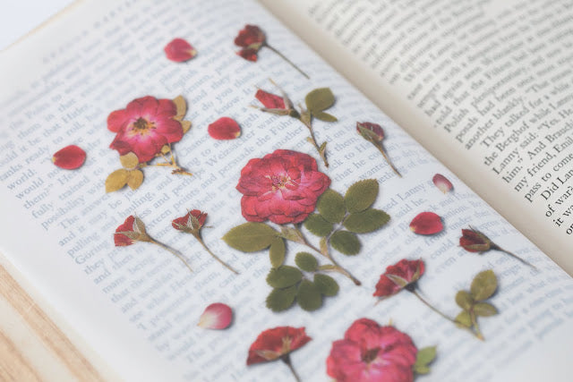 Appree Pressed Stickers- 015 Mini Rose - Smidapaper Ikigai Shop