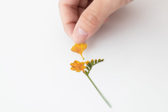 Appree Pressed Stickers- 007 Freesia - Smidapaper Ikigai Shop