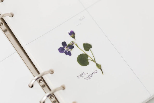 Appree Pressed Stickers- 011 Manchurian Violet - Smidapaper Ikigai Shop