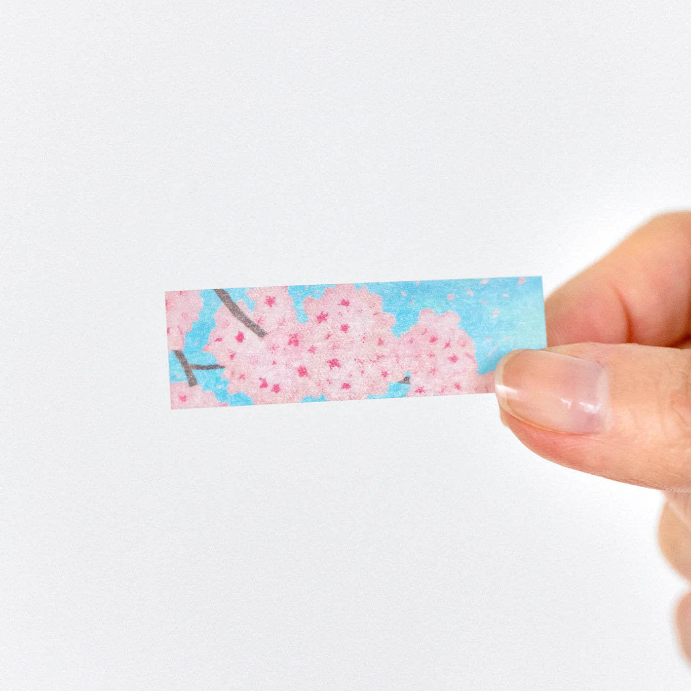 KITTA  Washi Tape -EC-KITE004 Cherry Blossoms (Limited)